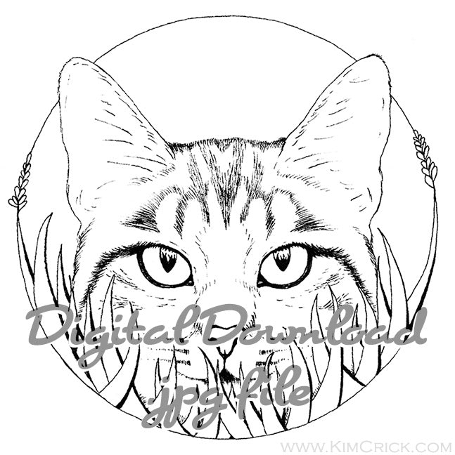 cat face outline drawing