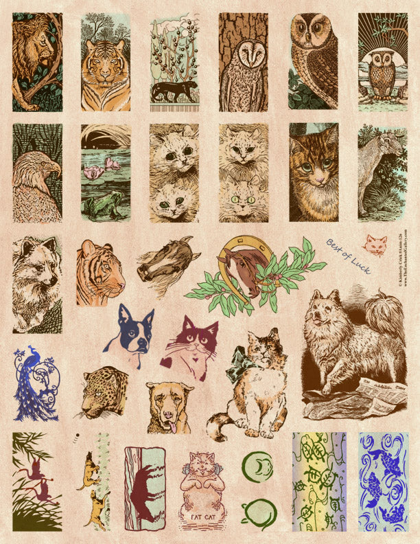 Animals Stamp Stock Illustration - Download Image Now - Rubber